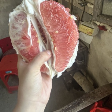 梅州蜜柚