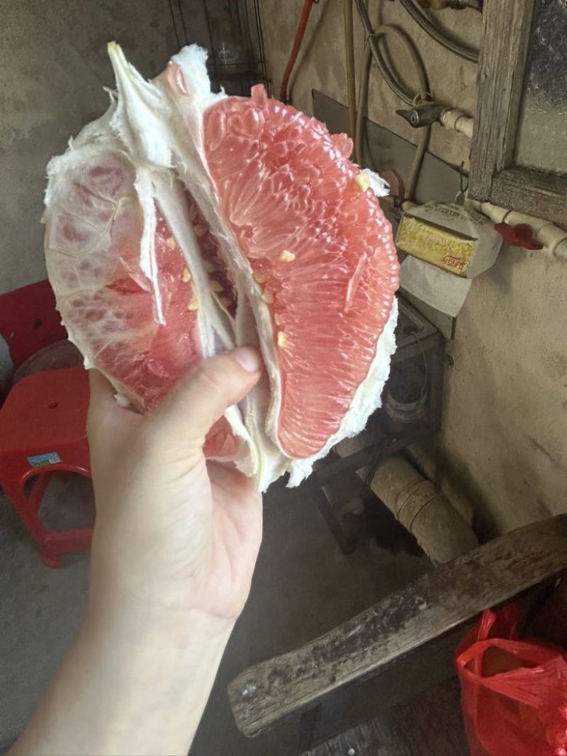 梅州蜜柚