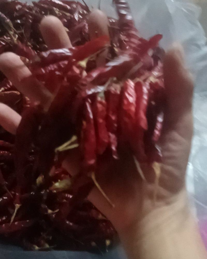 贵州魔鬼辣小米辣椒今年的新鲜晒干辣椒家庭饭店可食用
