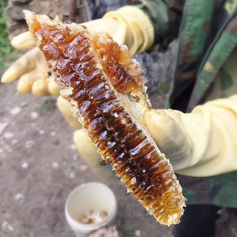 ***土蜂蜜，让您卖的放心，吃的安心