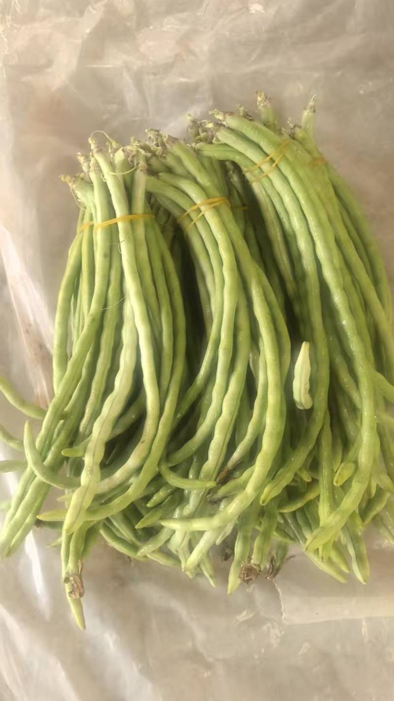 精品白玉豆