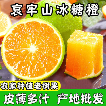 哀牢山冰糖橙，可以一件代发