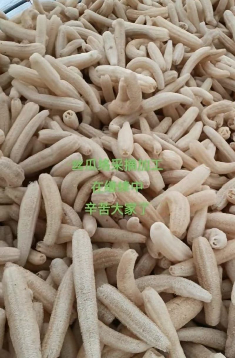 丝瓜络选货43一斤一件货起发包邮
