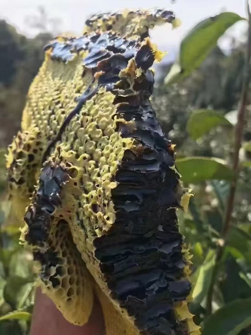 野生蜂蜜保质保量