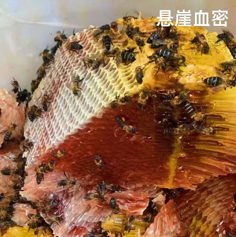 野生蜂蜜保质保量