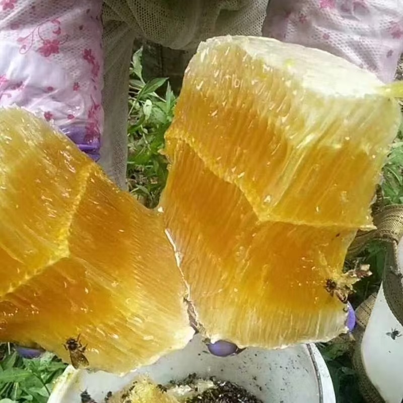 野生蜂蜜保质保量