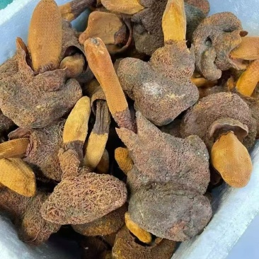 野生蜂蜜保质保量