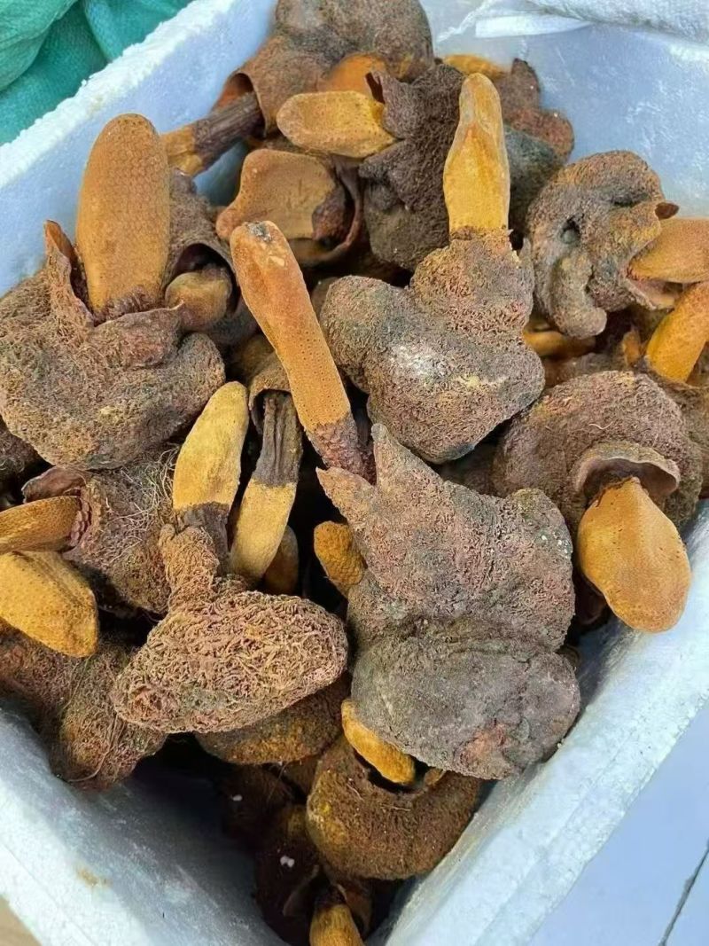 野生蜂蜜保质保量