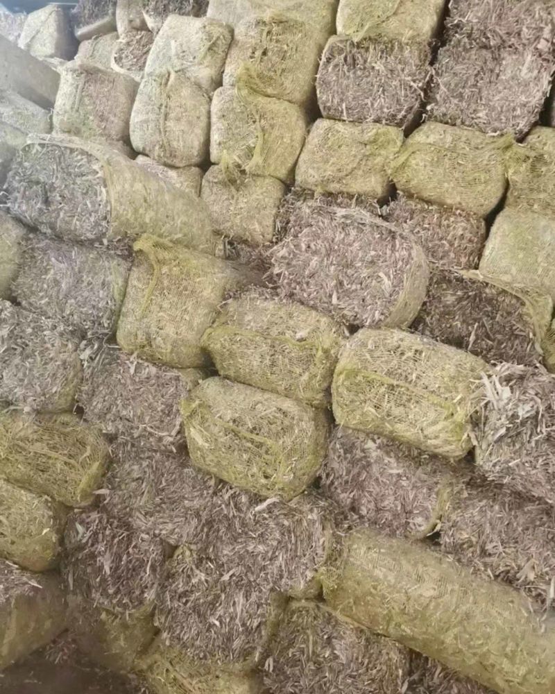 玉米秸秆