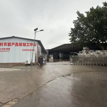 仓库出租，水果分级打包。
