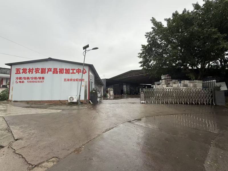 仓库出租，水果分级打包。