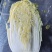 大白菜