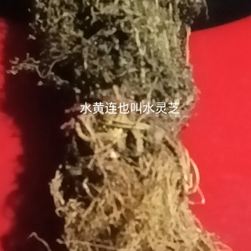 我要卖药材