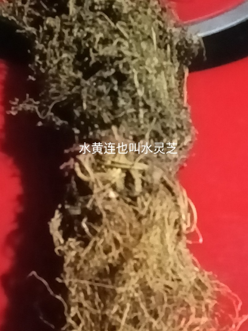 我要卖药材