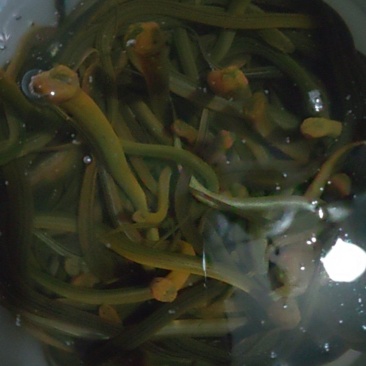 土黄鳝；新米