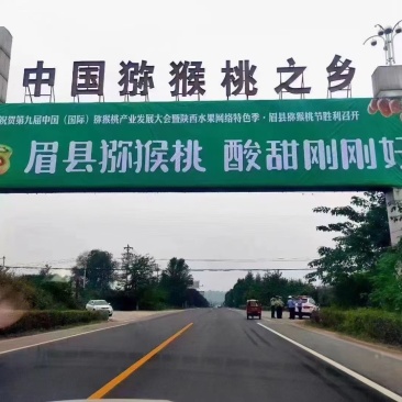 眉县徐香猕猴桃🥝