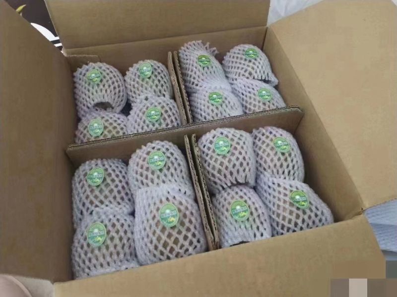 眉县徐香猕猴桃🥝
