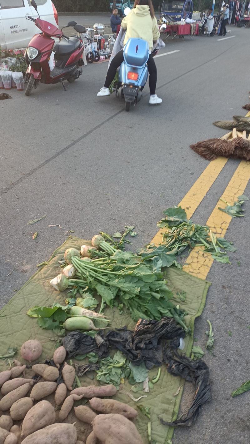 花头芥