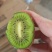 贵州省修文县猕猴桃