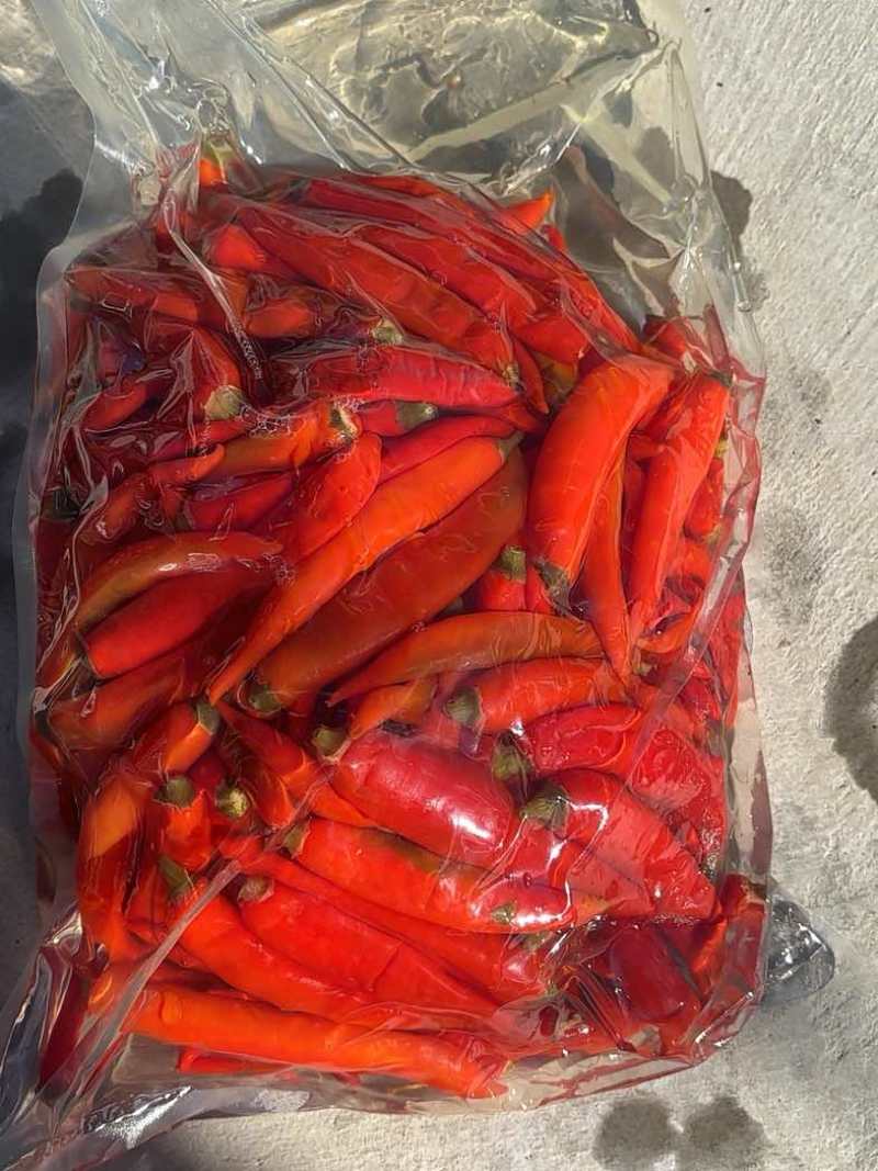 二荆条泡椒