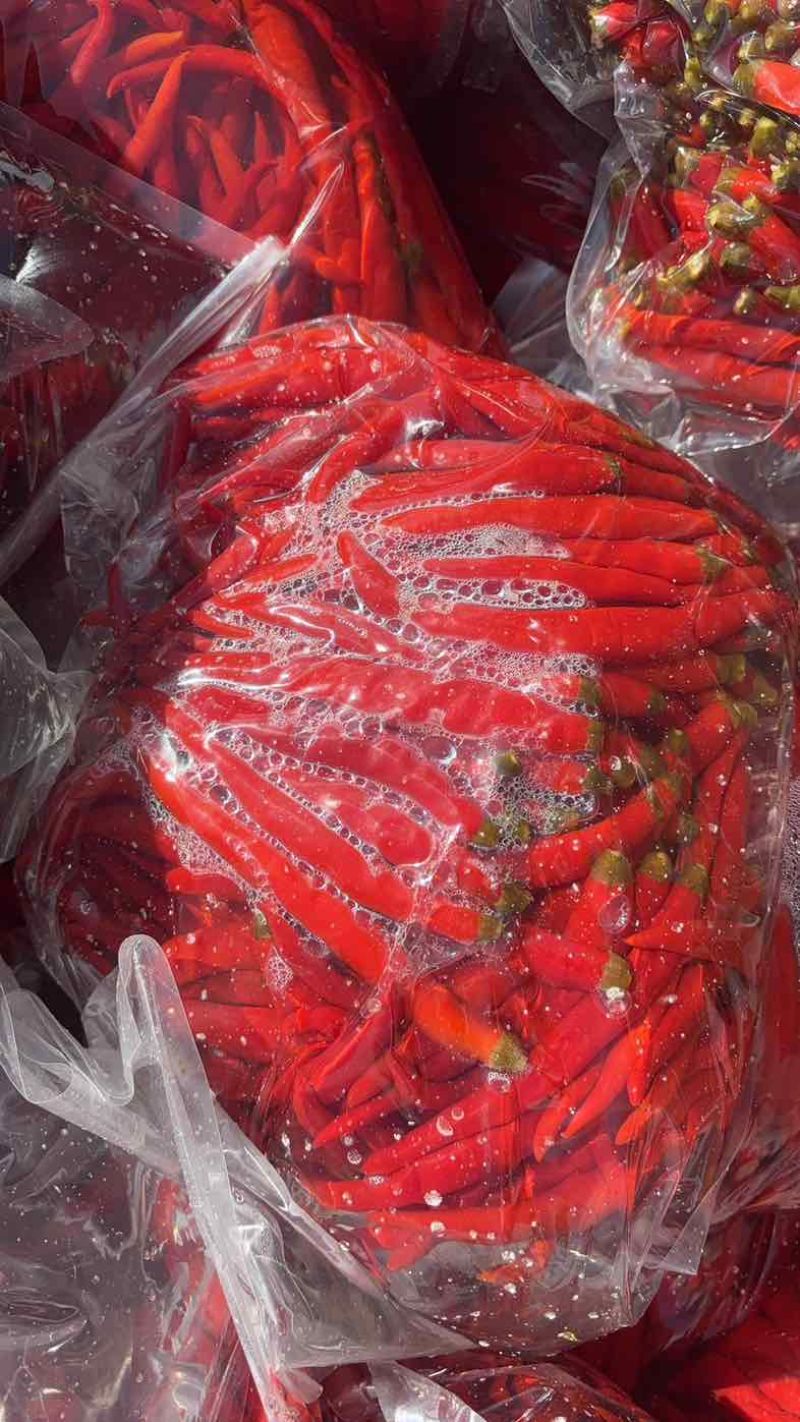 二荆条泡椒