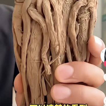 岷县三宝