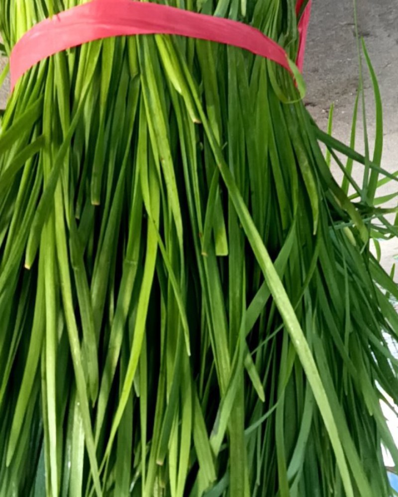 韭菜，