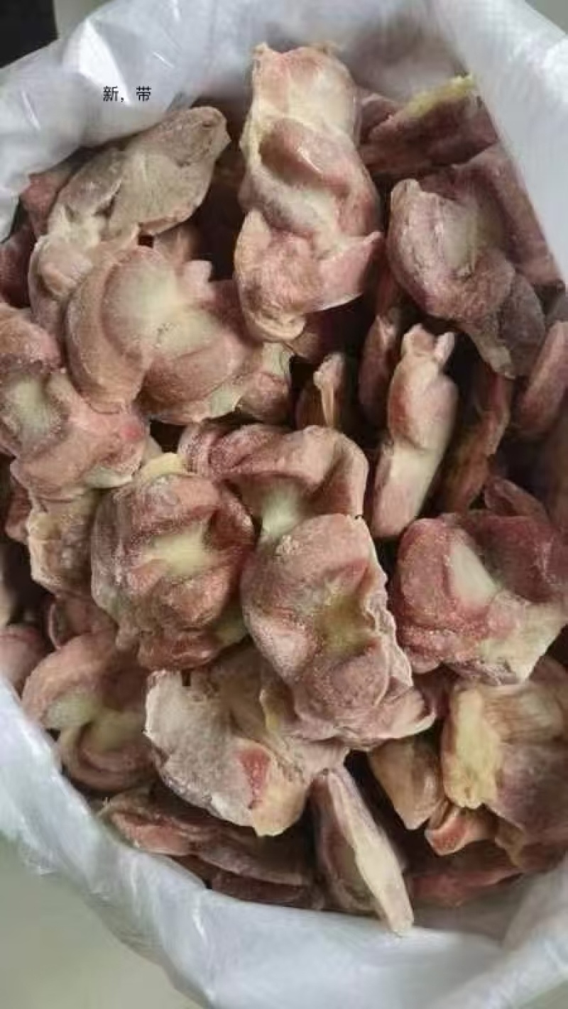 蛋鸡胗