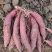 大量出售百栗红薯，哈密红薯，量大优惠