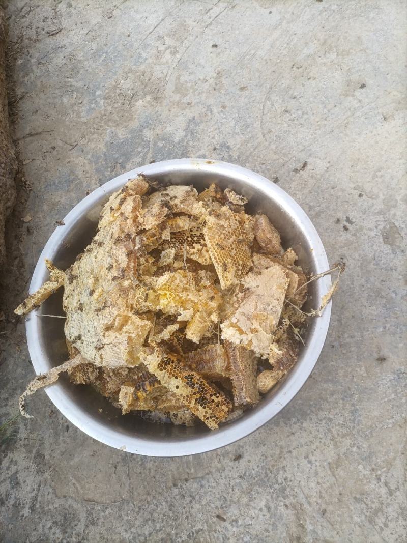 贵州土蜂蜜自己家里养的***正宗土蜂蜜