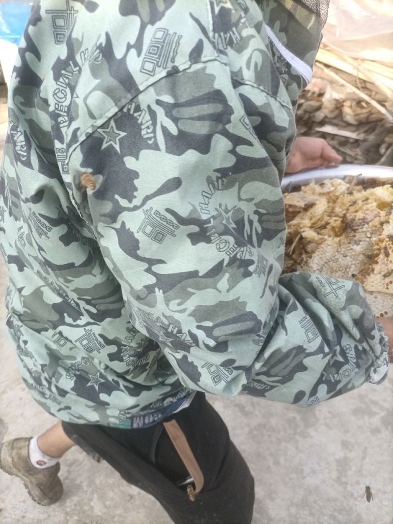 贵州土蜂蜜自己家里养的***正宗土蜂蜜