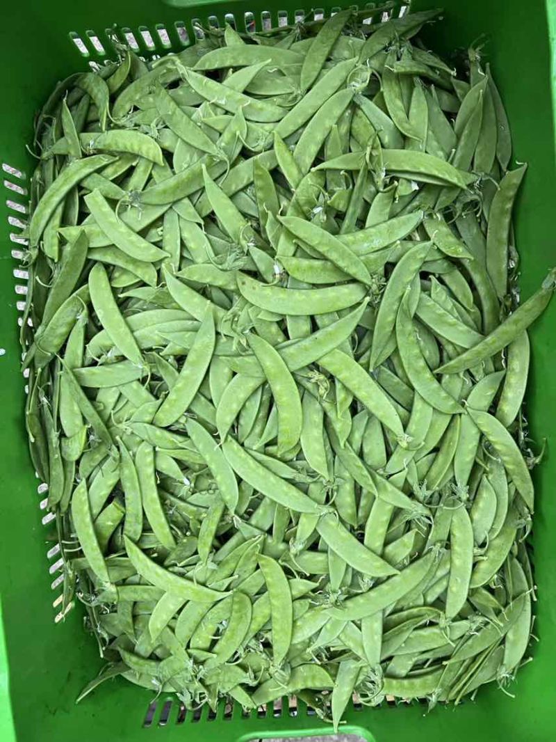 全年供货价格美丽各等级均有量大货稳全国发车