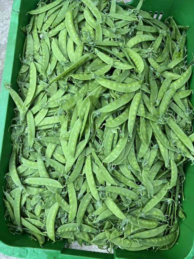 全年供应源头基地电商货好货精品货各平台供货均可