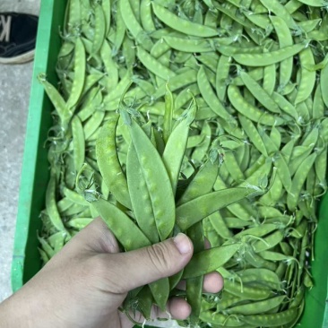 全年供应源头基地电商货好货精品货各平台供货均可
