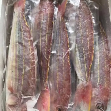 咸鱼**（金丝鱼）