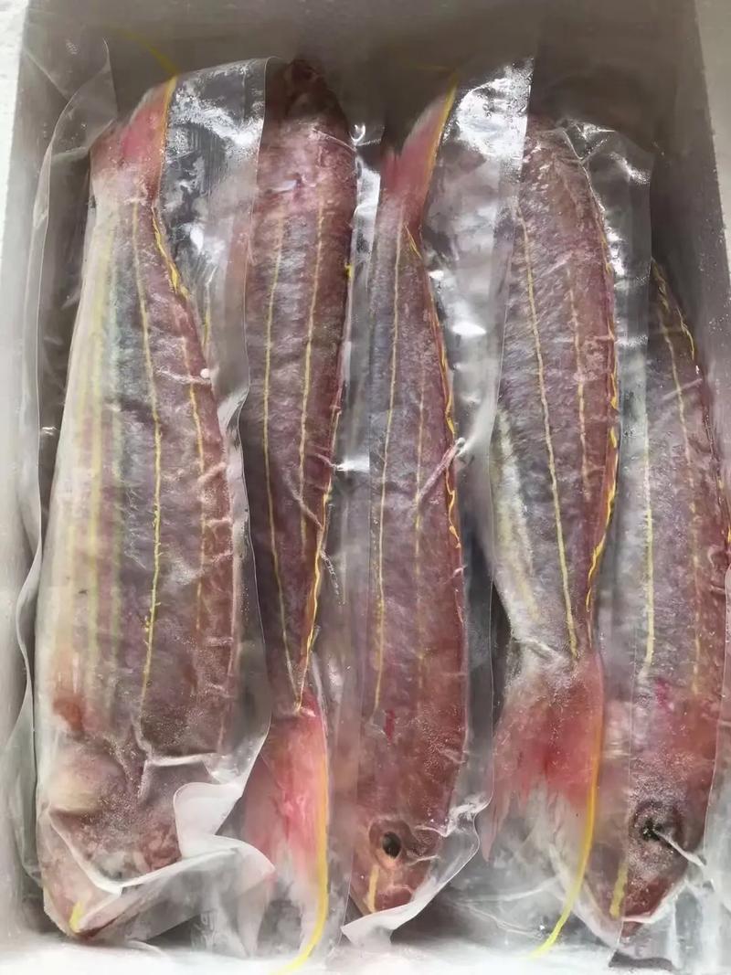 咸鱼**（金丝鱼）