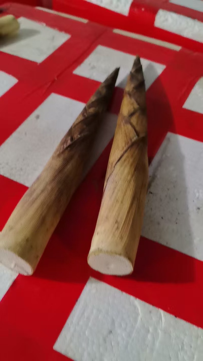 方竹笋批发