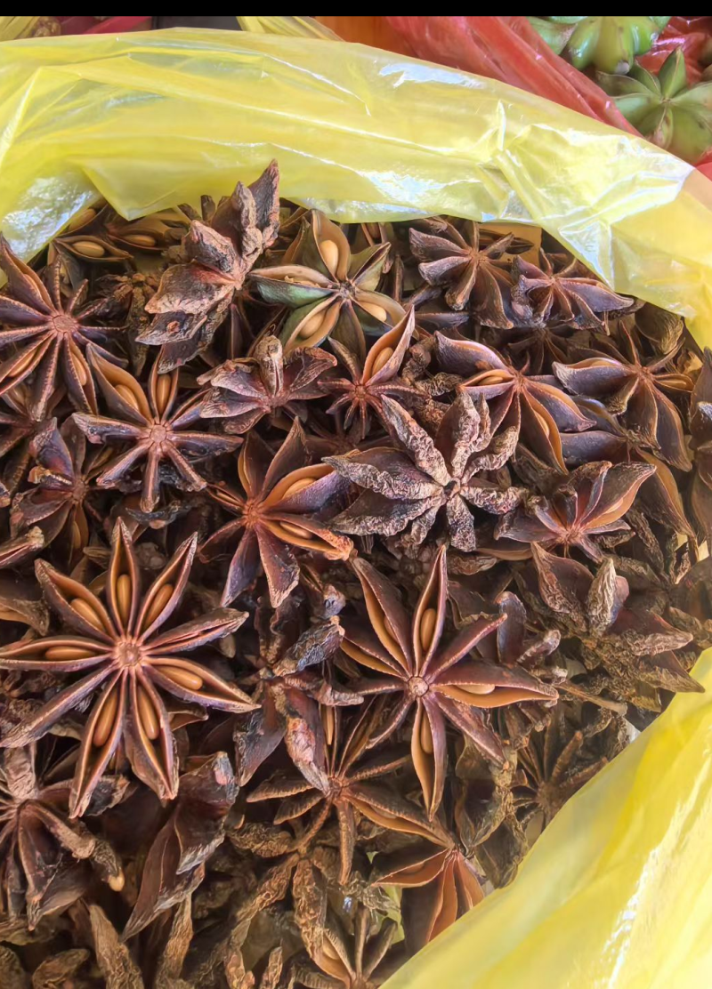 广西大红八角