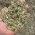 牛羊槽子，牛羊草