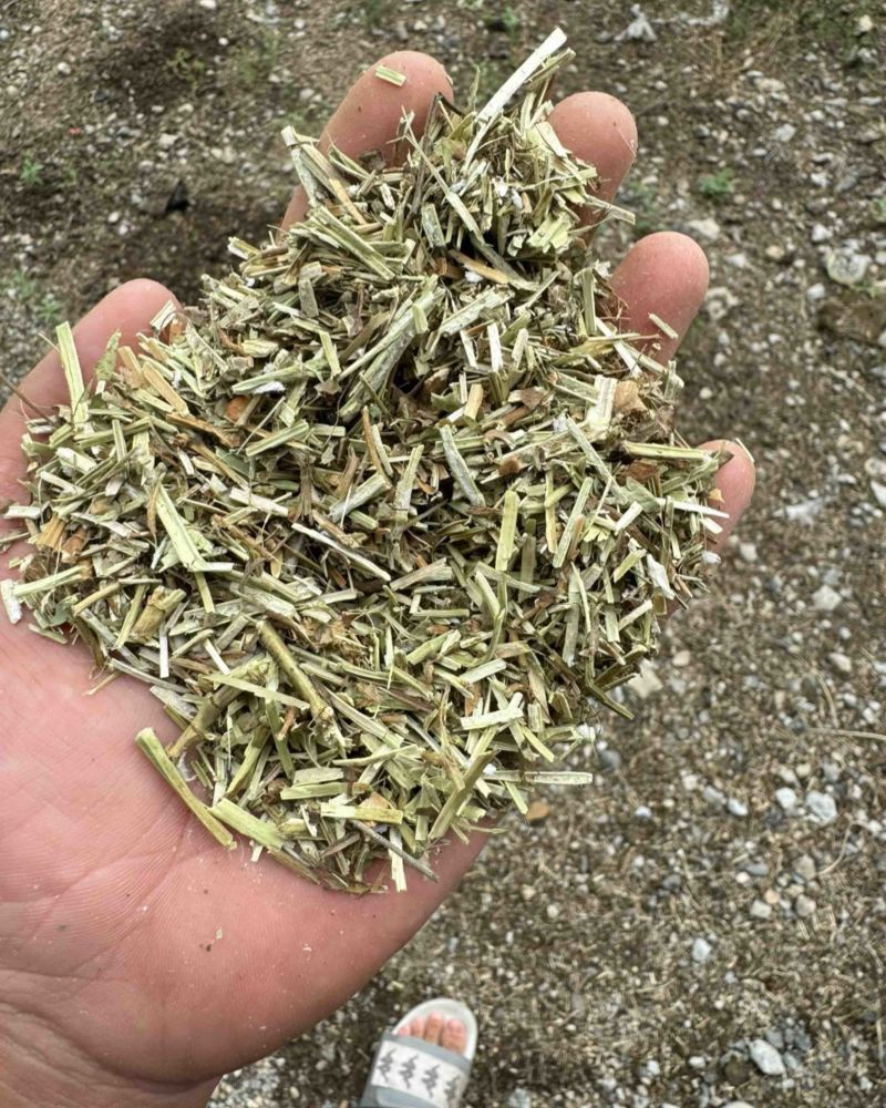牛羊槽子，牛羊草