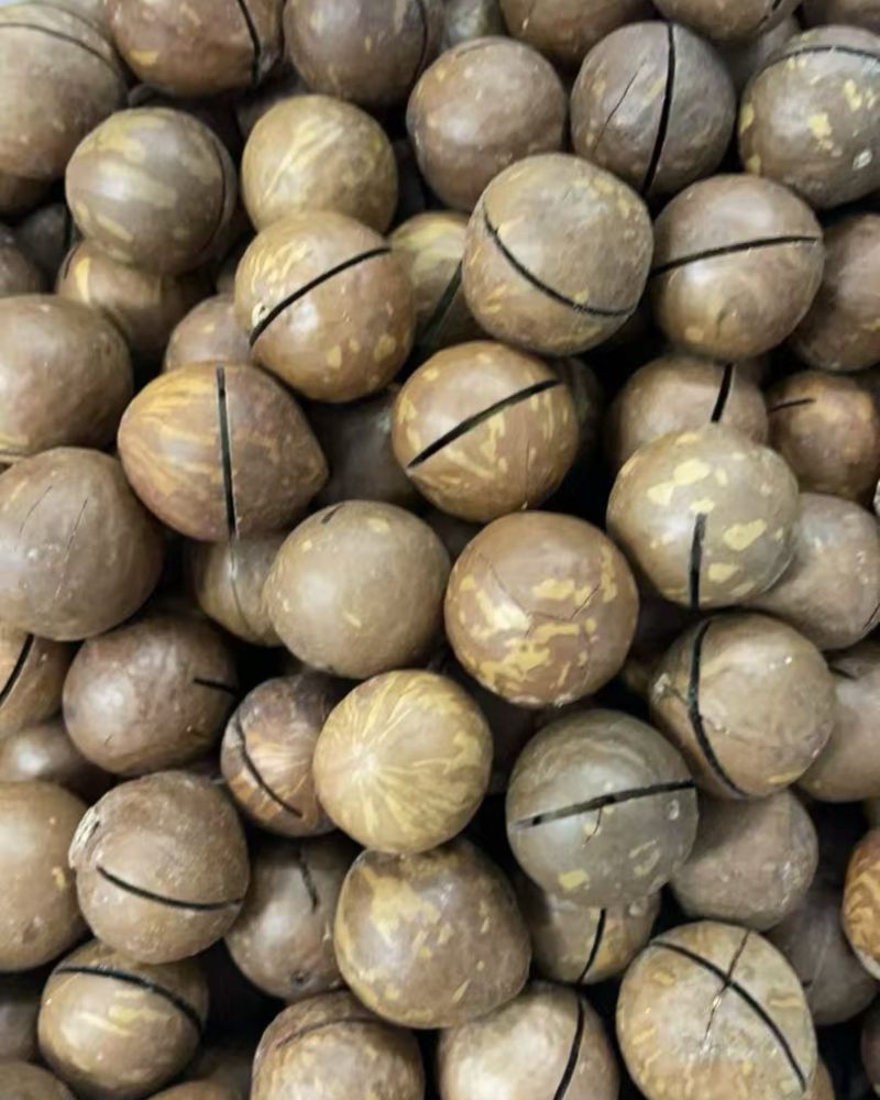 夏威夷果，奶香夏果，批发代发量大优惠