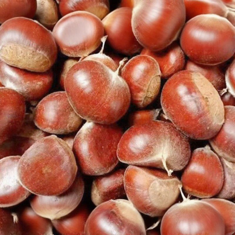 板栗🌰，对接电商，加工厂，一件代发价格便宜，质量有保障！