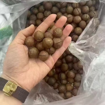 夏威夷果，电商代发，线下精品，量大来
