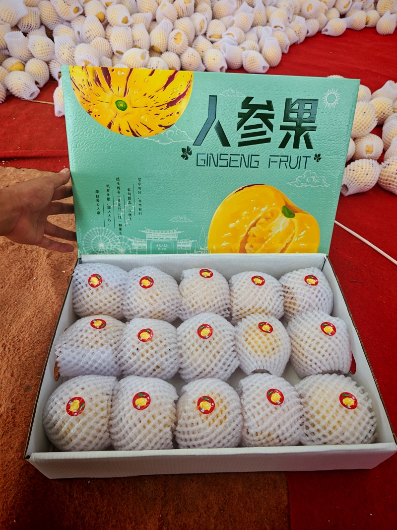 人参果礼盒装