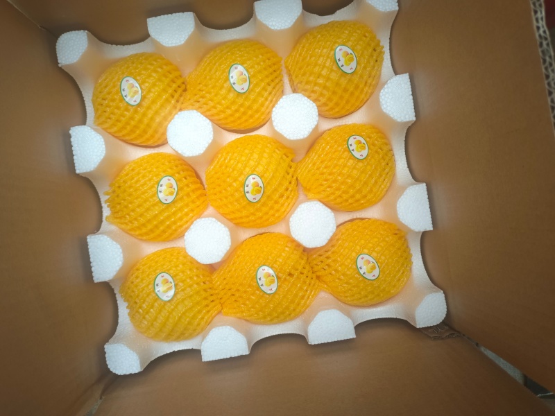 陕西宝鸡黄桃