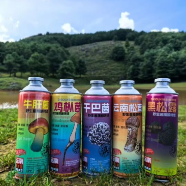 云南特色野生菌啤酒