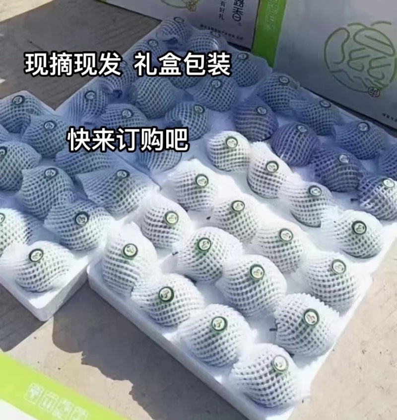 隰县玉露香梨