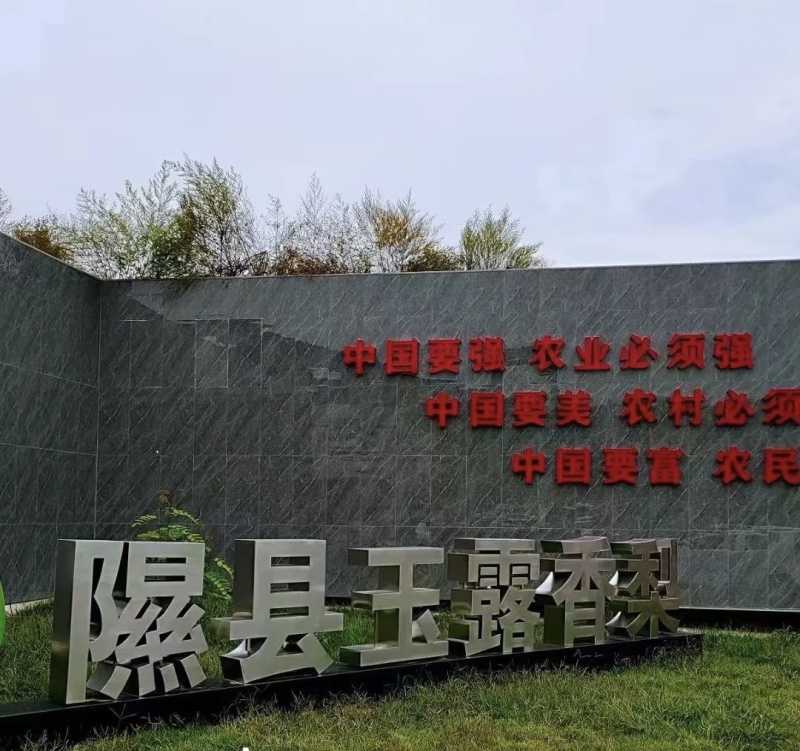 隰县玉露香梨