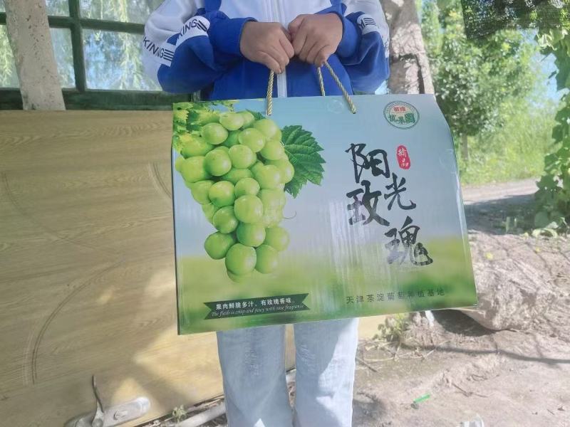 天津玫瑰香/阳光玫瑰/红宝石/蓝宝石
