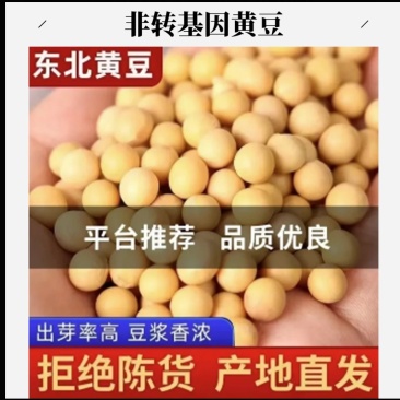 黄豆